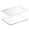 InterDesign / Органайзер-контейнер с крышкой пластик 14х13.7х13 (100703)