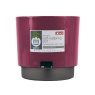 Горшок для растений WATERMATIC 4.8л 215мм ярко-розовый (101334) Горшок для растений WATERMATIC 4.8л 215мм ярко-розовый (101334)